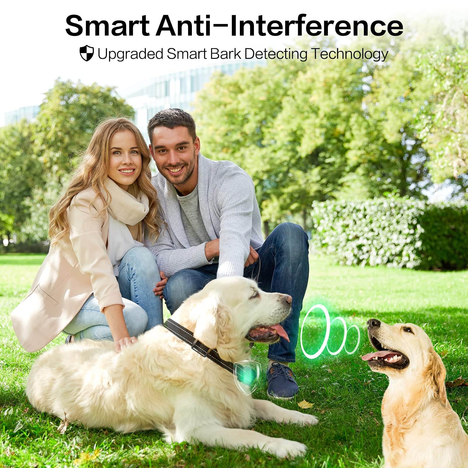 Antibellhalsband für Hunde 008 (4)