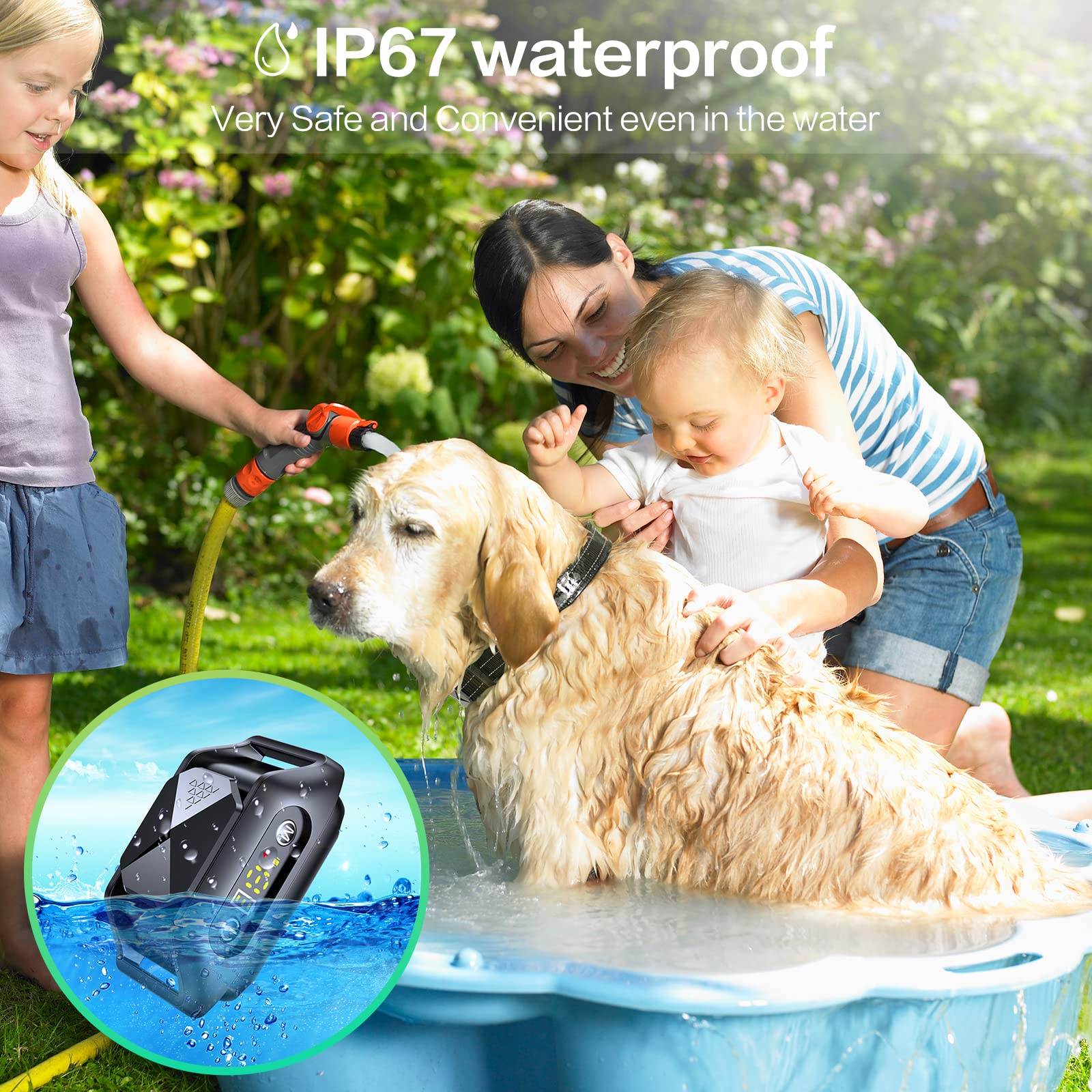 Antibellhalsband für Hunde 008 (6)