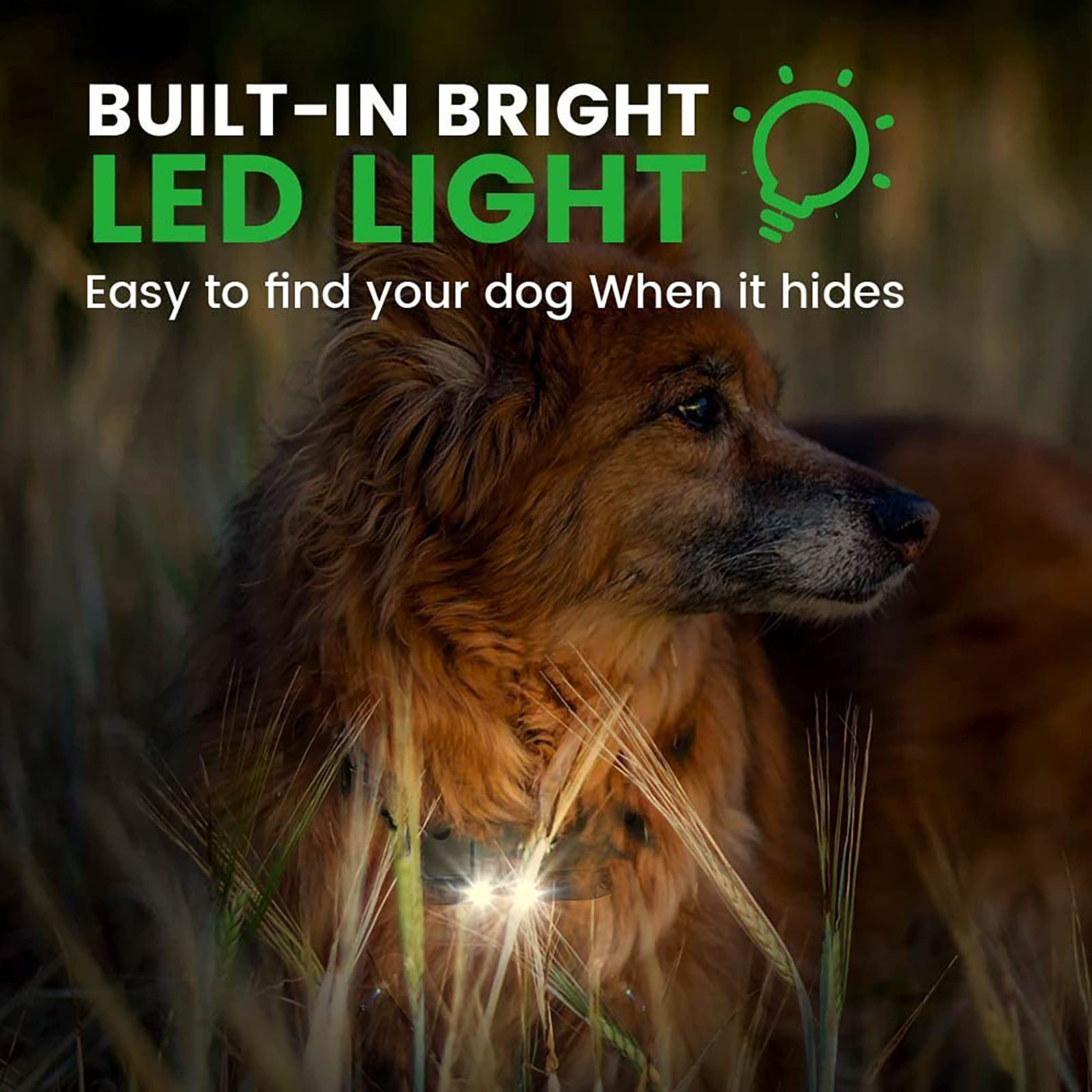 Erziehungshalsbänder (7)