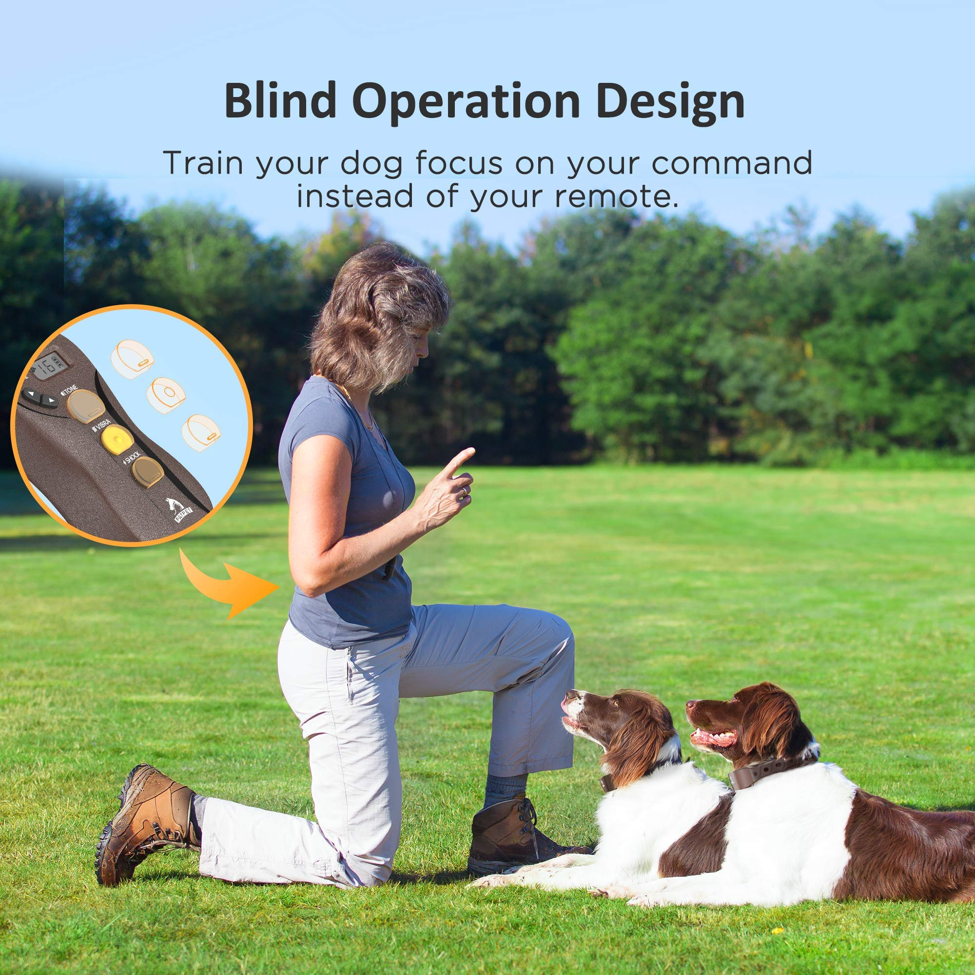 Hundehalsband mit 16 statischen Stufen (6)