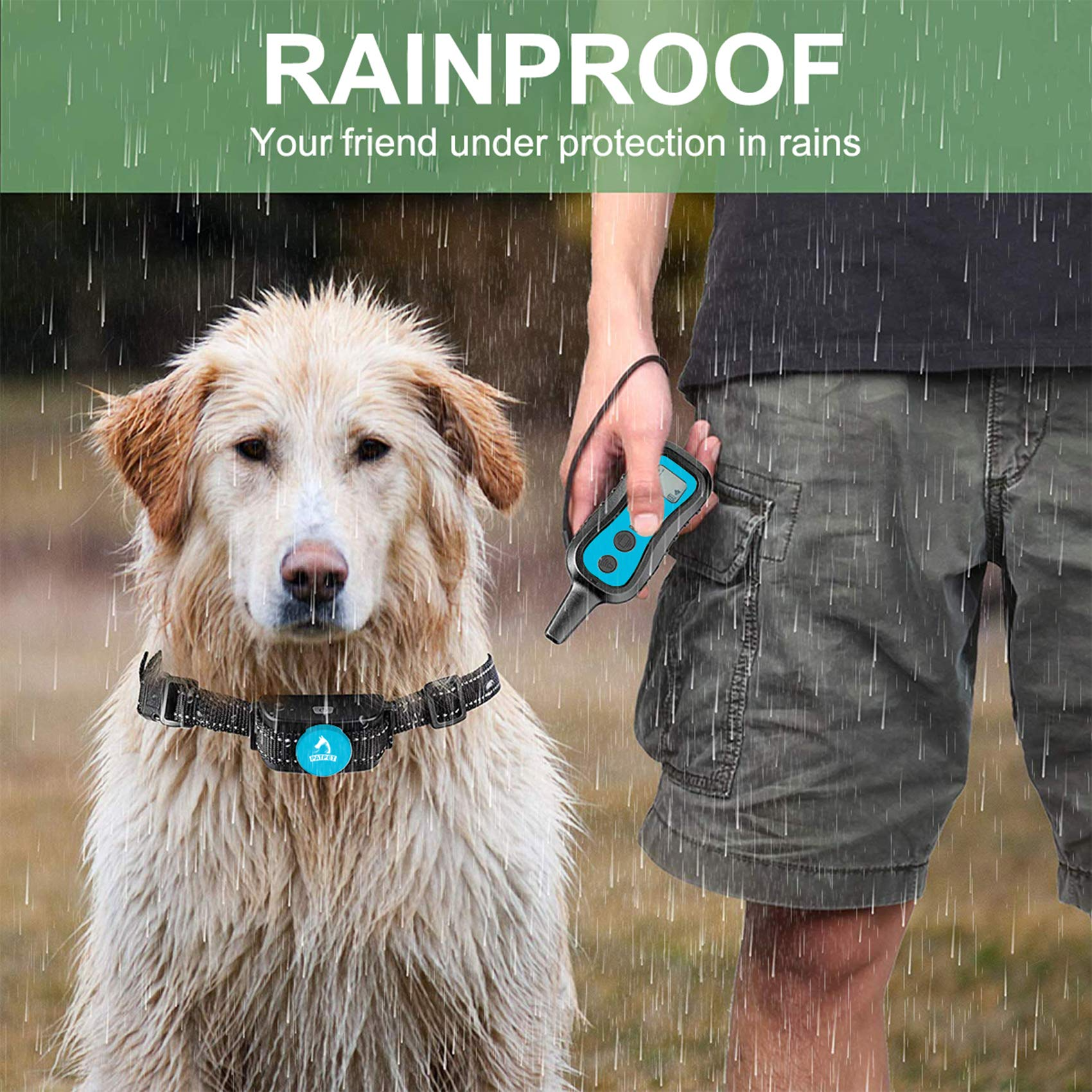 Regenfestes Hundetrainingshalsband mit Fernbedienung (6)