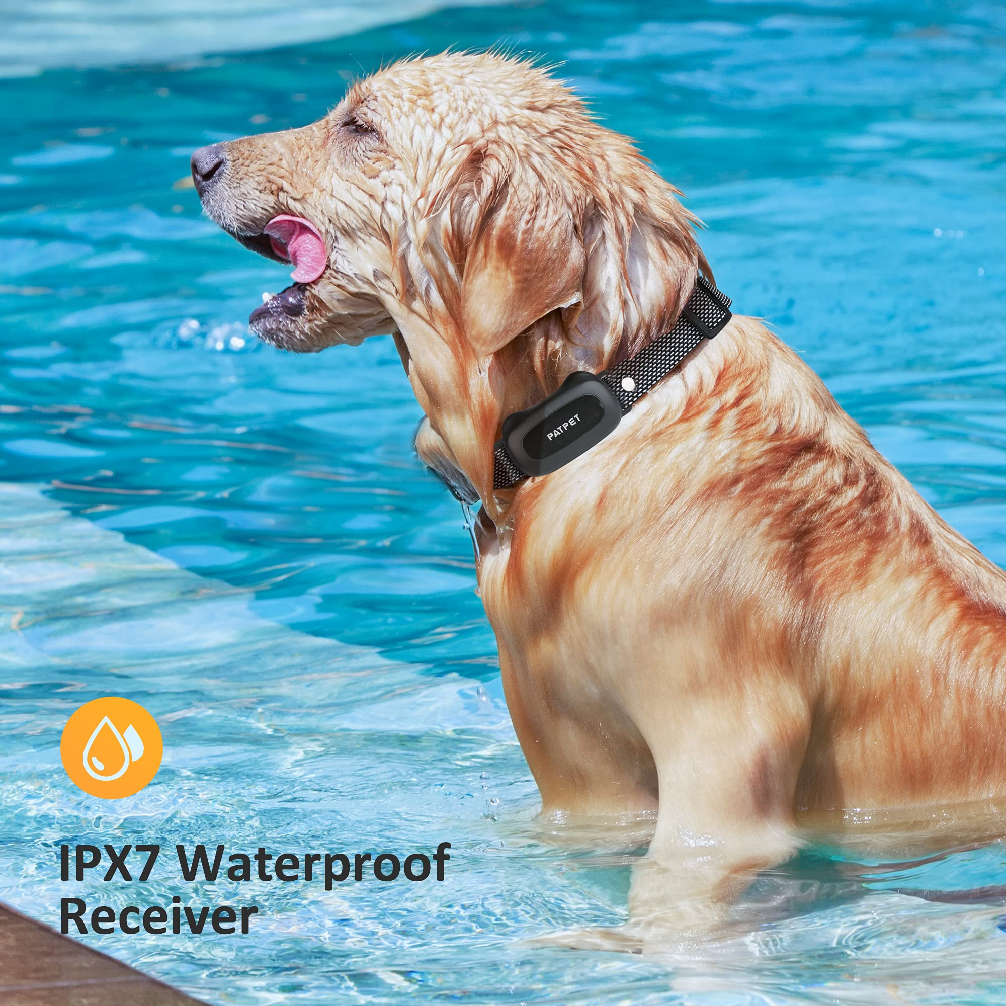 Schockhalsband für Hunde (4)