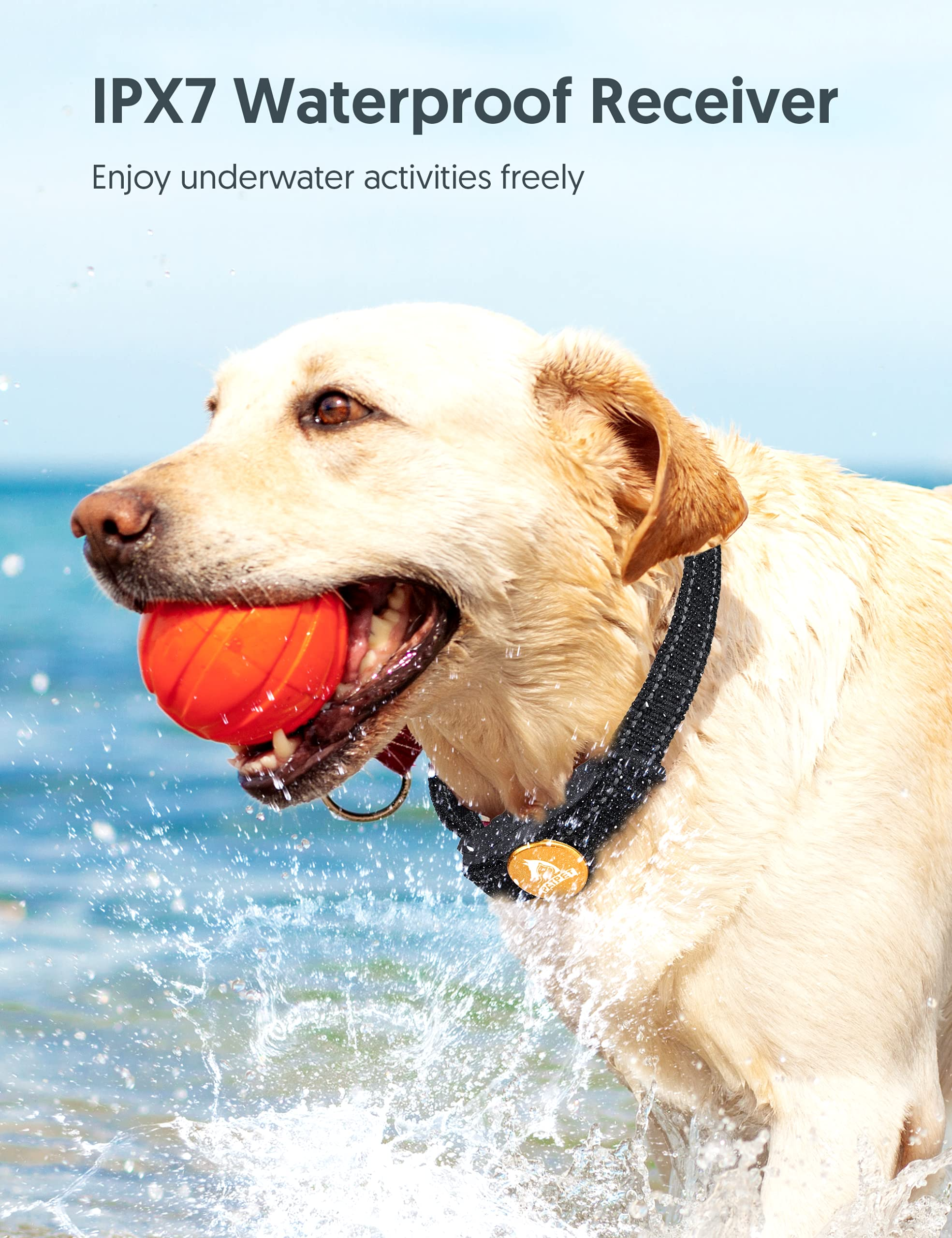 Erziehungshalsbänder Erziehungshalsbänder