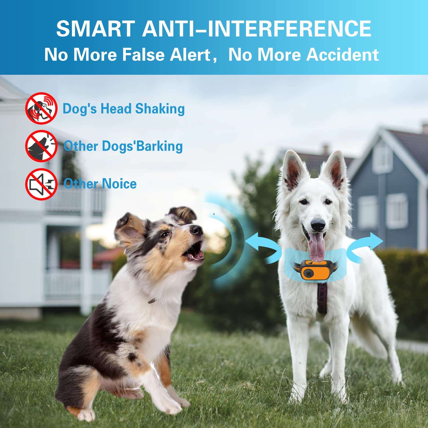 Antibellhalsband Antibellhalsband