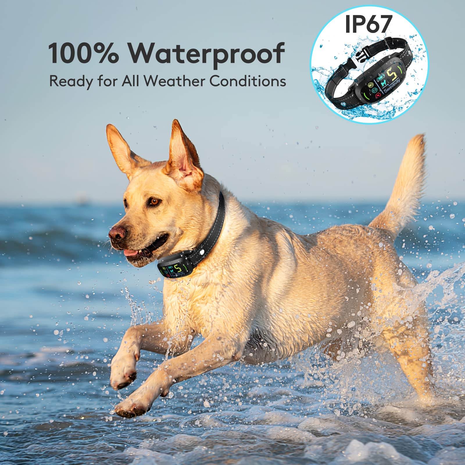 Intelligentes Antibellhalsband mit Farbdisplay Intelligentes Antibellhalsband mit Farbdisplay