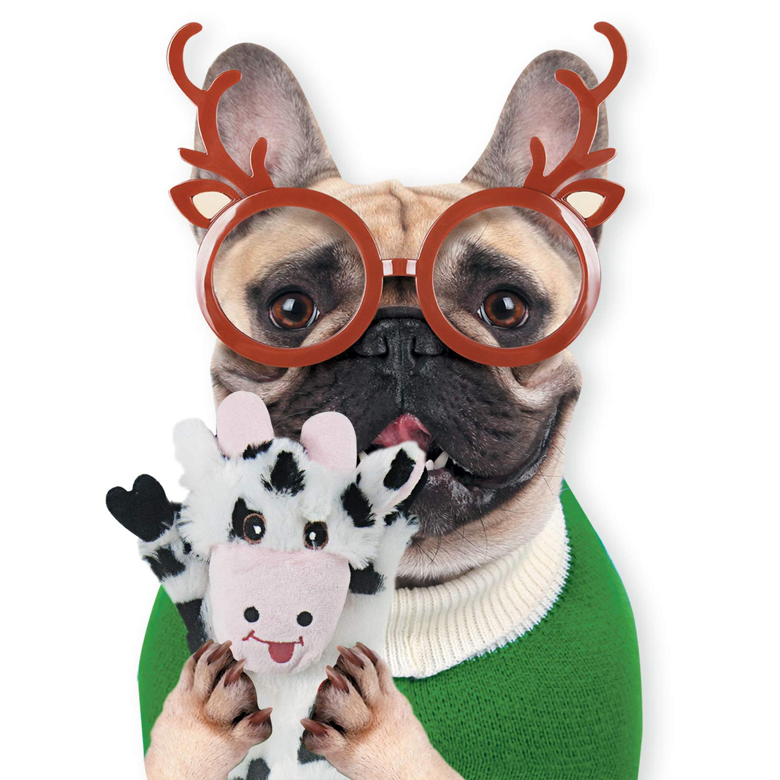 Hundekauspielzeug (9)